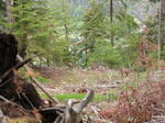 PICT0064