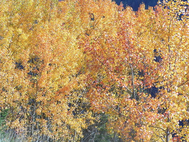 PICT0013