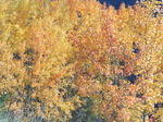 PICT0013